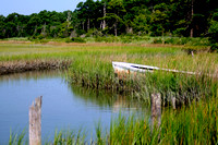 Eastern Shore VA