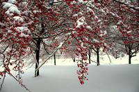 Covington Kentucky