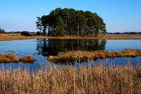 Chincoteague Wildlfie Refuge